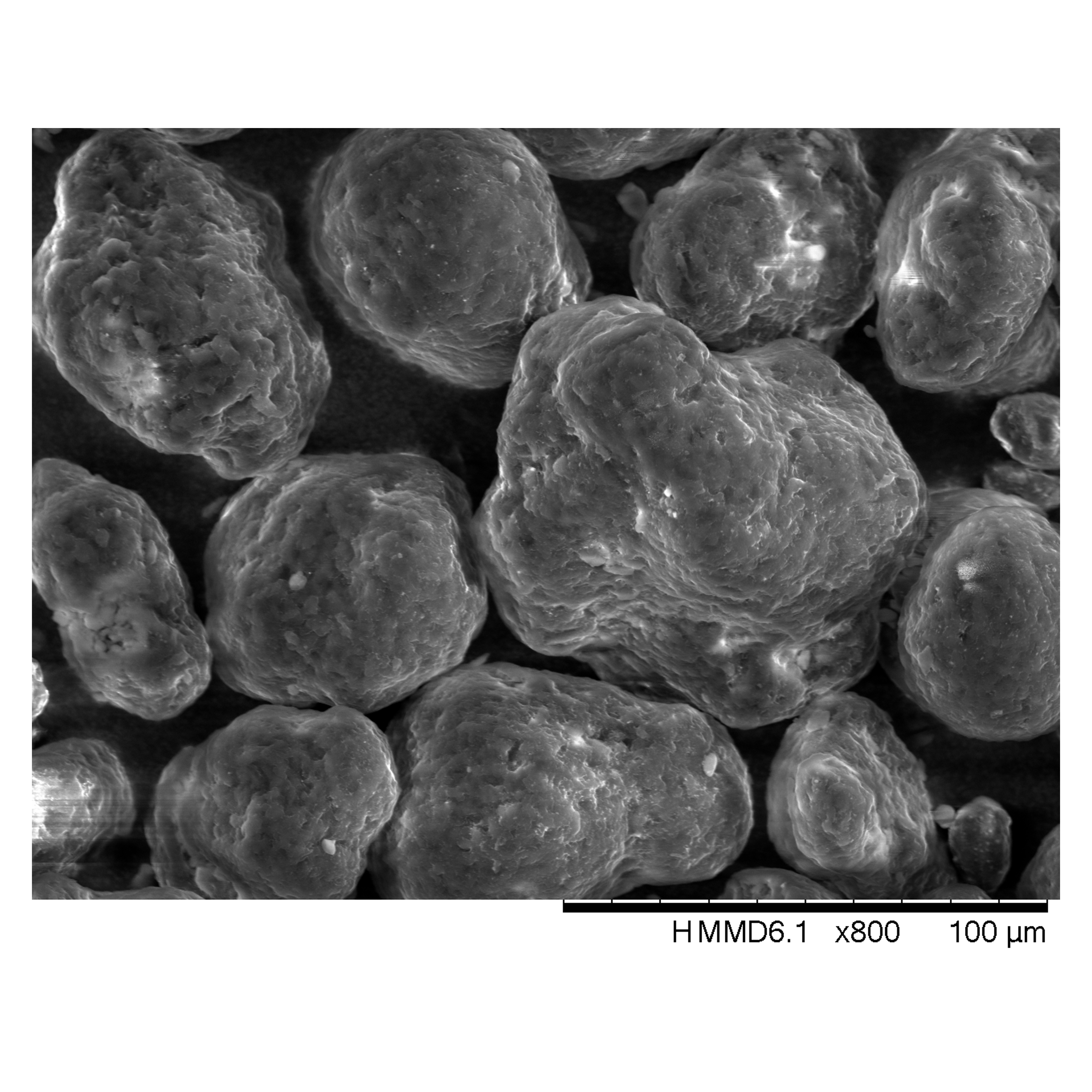 SEM image of virgin Nylon-12 powder