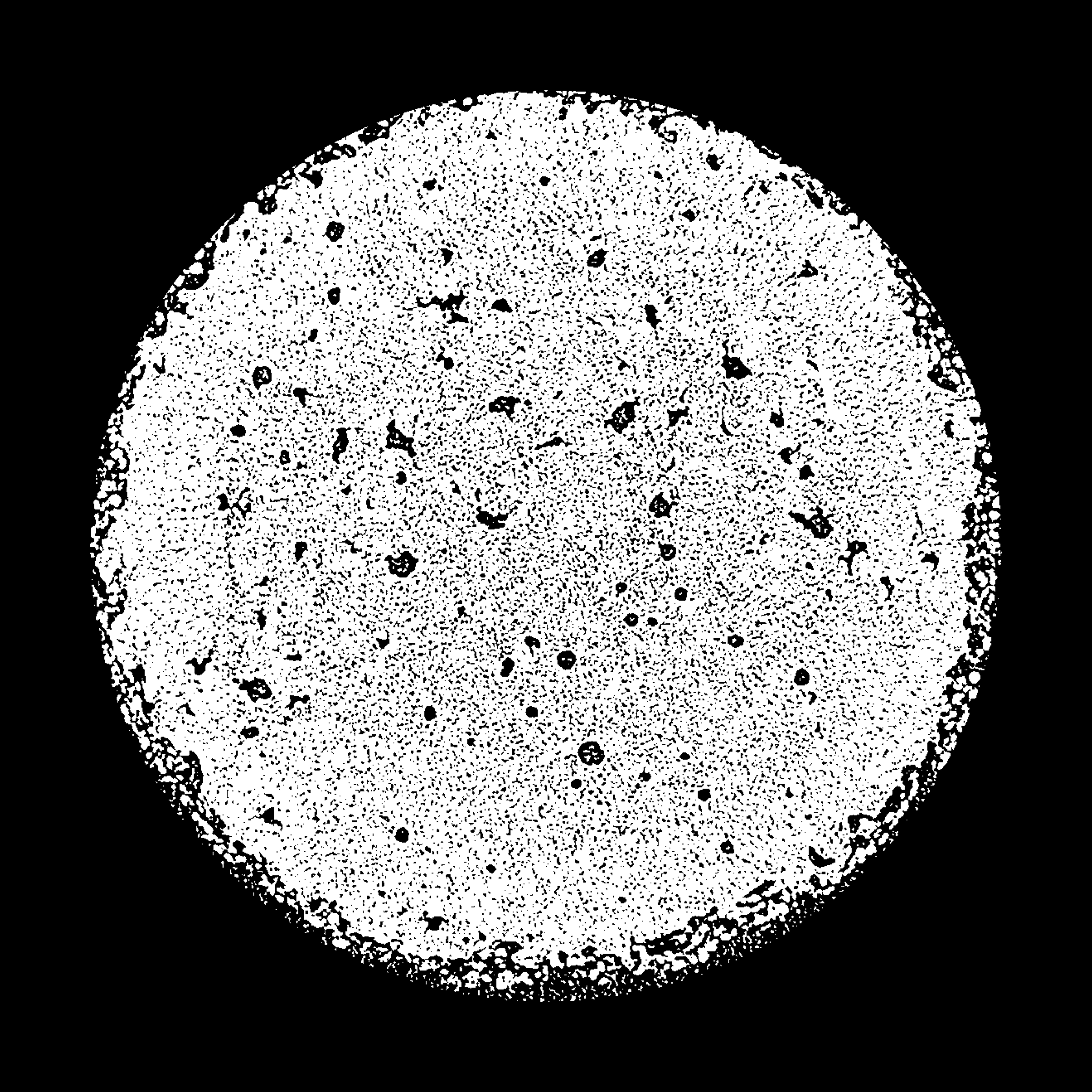 Micro-CT image of resultant Laser Sintered Nylon-12 cross-section